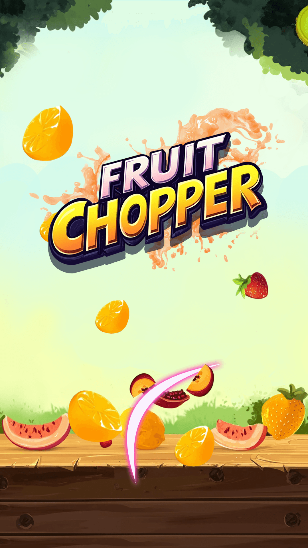 Fruit Chopper